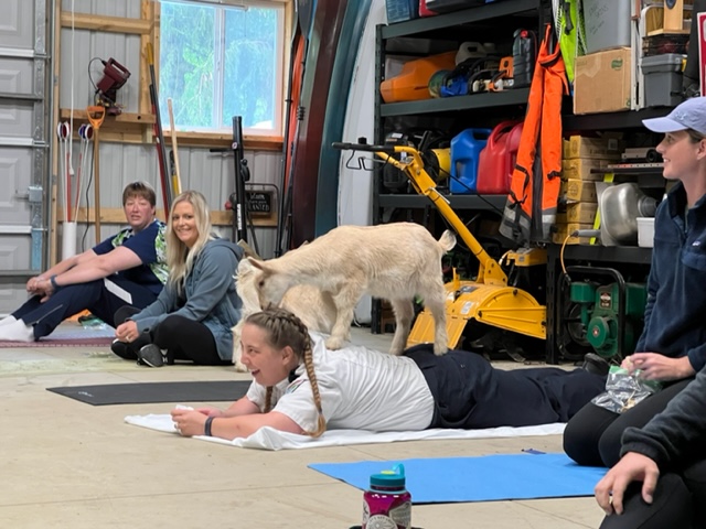 Kalamazoo EMS employees relax with goat yoga (MAY 2022)